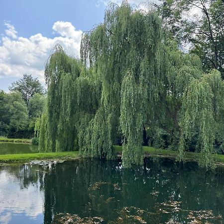 Restauracja I Noclegi Izba Rybacka W Krainie Wygaslych Wulkanow Podgorki Kültér fotó