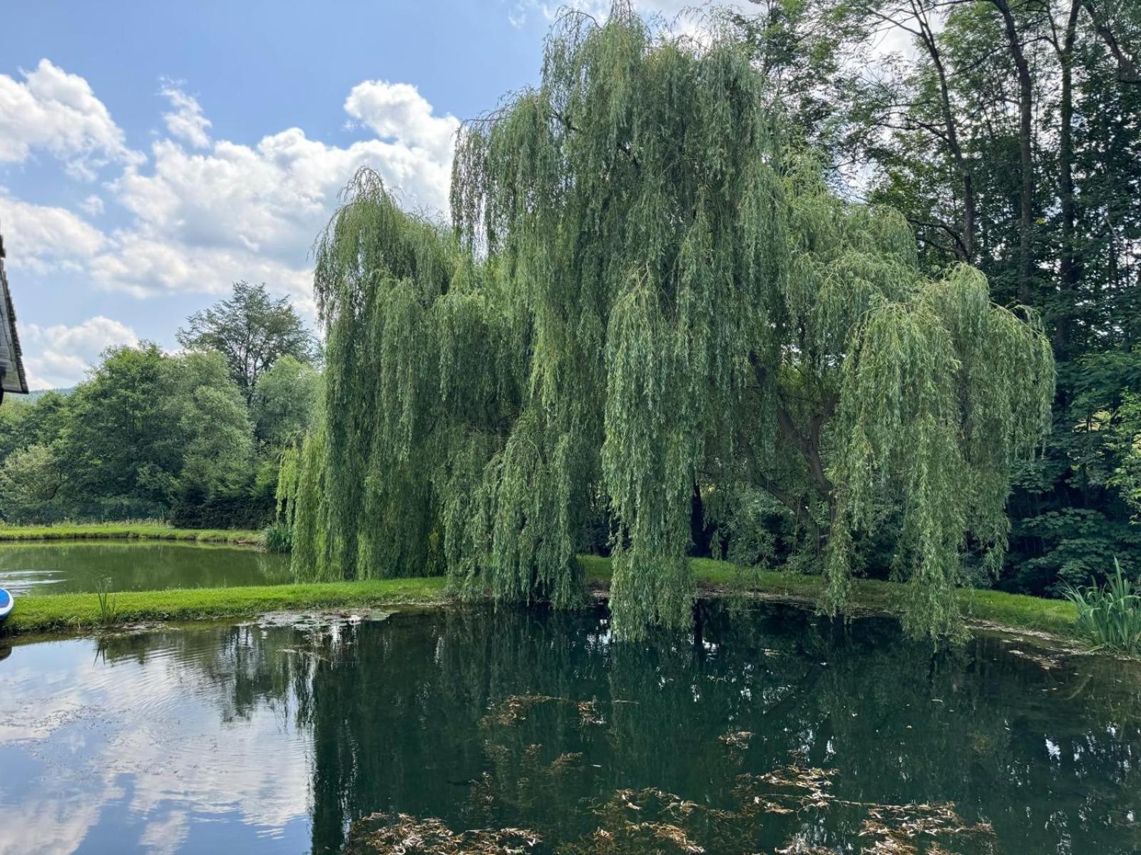 Restauracja I Noclegi Izba Rybacka W Krainie Wygaslych Wulkanow Podgorki Kültér fotó